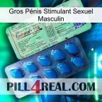 Gros Pénis Stimulant Sexuel Masculin new02